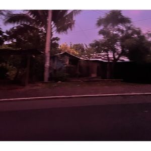 Meet your Posher, Sofia